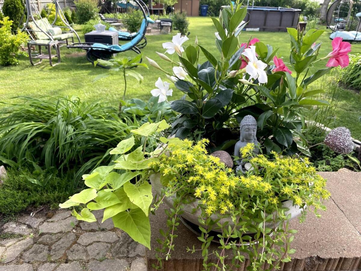 Schaumburg Paradise Oasis With A Secret Garden And Private Pool Eksteriør bilde