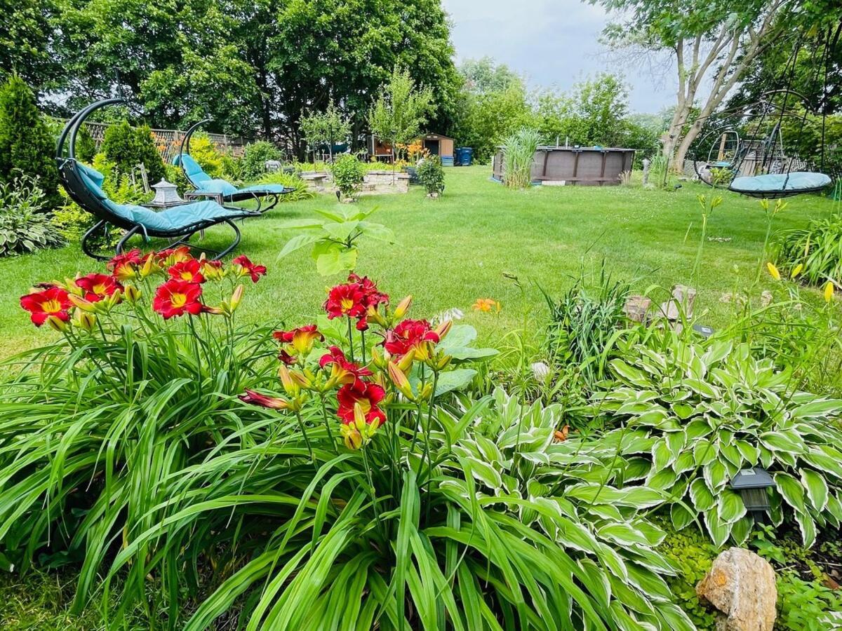 Schaumburg Paradise Oasis With A Secret Garden And Private Pool Eksteriør bilde